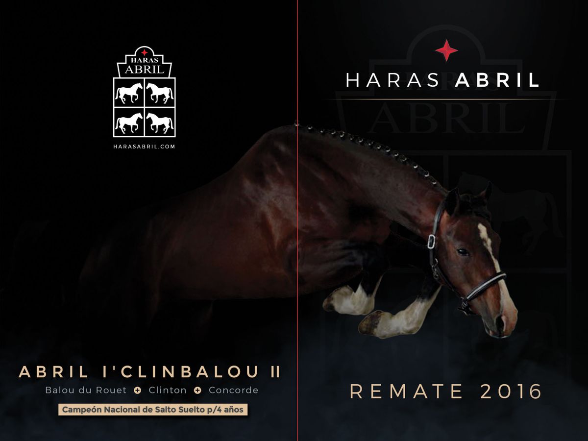 cover-haras-abril-2016